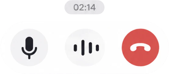 Call timer and controls: microphone, speaker and hang up